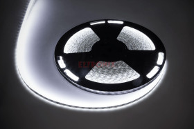 TAŚMA LED SCW 60X5050 SMD/M 12V 5.6W/m IP65 9.5MM ZIMNA BIAŁ