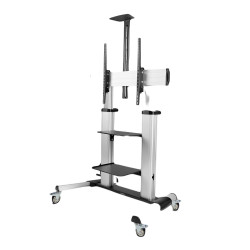 Stojak TV na kółkach Podłoga VESA 1000 x 600mm obciążenie 100kg rozmiar 60 → 100cal StarTech.com