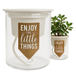 Doniczka Samopodlewająca 10,2cm Transparentna Automatyczny Podlewacz