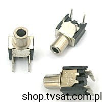 TPBF11CGRA0 Pusch Switch Horizont THT T&amp;B