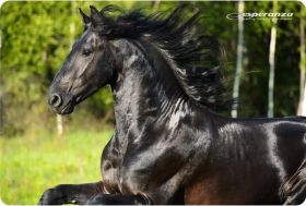 Podkładka pod mysz - Esperanza