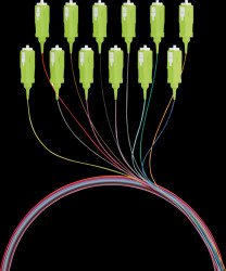 O3326.2OM5 Fiber pigtail SC, 12 pigtails, OM5, 2 m