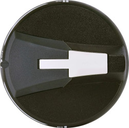 Rączka drzwiowa 1-0-2 CLBS-EH125/G CO 004661442