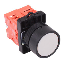 Techna PtecPNWhite White Flush Push Button Switch 10A 2NC