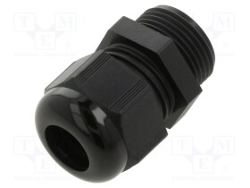 AIO-BSCS-24