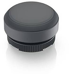 RAFI 1.30.270.005/0101 1.30.270.005/0101 Przycisk chwilowy (D x S x W) 29.8 x 29.8 x 20.7 mm 1 szt.