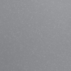 PL0502029 Permanent vinyl film - 31.5 cm x 1 m - silver