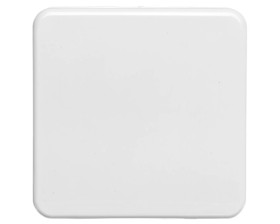 Berker IP44 Płytka czołowa gniazda z/u z pokrywą p/t bryzgoszczelne IP44 śnieżnobiały 39420409