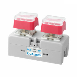 Chain Dual Key with ESP32-S3