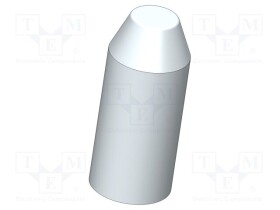 IGN-19462
