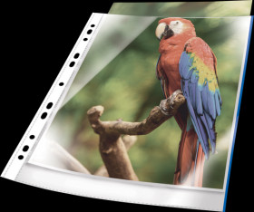 265506 Plastic wallets, A4, crystal clear, 25 pieces