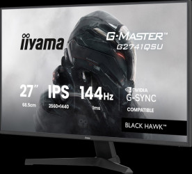 G2741QSU-B1 69-cm monitor, USB, QHD, speakers