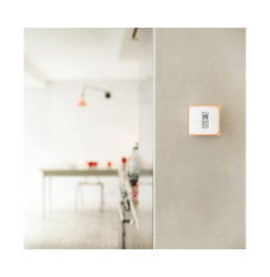 Netatmo PRO Termostat Smart home NTH-PRO