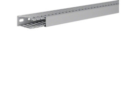 tehalit.BA7 Kanał grzebieniowy 2m 60x25 szary BA760025 HAGER