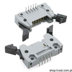 8613-010-21-13-345 Connector 2 x 5 Pin Ang Header THT FCIELECTR