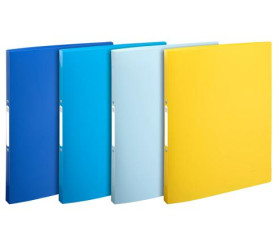 Segregator oczkowy Mieszany 2 For Paper Size A4 Exacompta