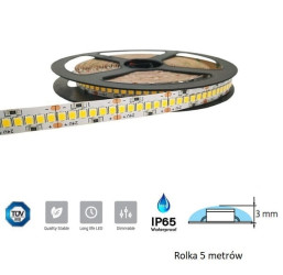 Taśma LED Premium biała zimna 6500K 24V 240led/m 20W/m IP65 rolka 5m