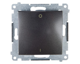 Simon 54 Łącznik dwubiegunowy antracyt DW2A.01/48