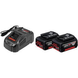 Bosch 1600A00B8J Professional Battery &amp; Charger 18V 5Ah Li-ion 35min Charge