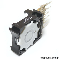 LMW10P Rotary Switch Vertical THT RTC