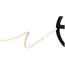 Barthelme 51541433 LED Strip 12V 5m White Flexible Indoor Use