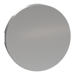 Gniazdo wtykowe Montaż wpuszczany Schneider Electric