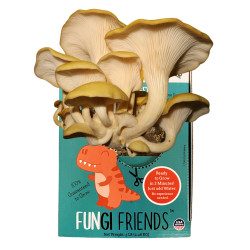 Fungisaurus Rex - Gold Oyster Mushroom Grow Kit - 5 LBS