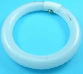 ŚWIETL.KOŁ.22W L-22W/640C