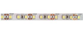 Taśma 600 LED 2835 biała zimna (120led/m) - 1metr