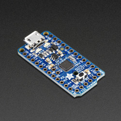 Adafruit Pro Trinket