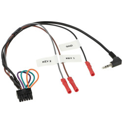 ACV 42ctmultilead Steering wheel control interface