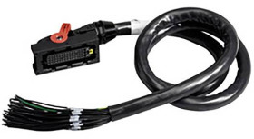 Wtyczka Schneider Electric 1 szt.