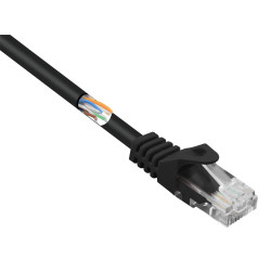 Renkforce RF-5043850 RJ45 Network cable Black CAT 5e U/UTP 1m Detent