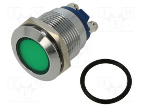 IND19-24G-S