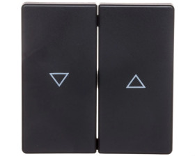 Berker Q.1/Q.3 Klawisze z nadrukiem symbolu /strzałka/ antracyt/ aksamit 16256086