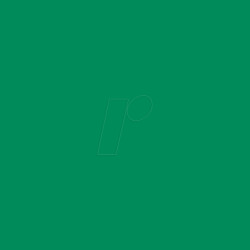 PL0502012 Permanent vinyl film - 31.5 cm x 1 m - green