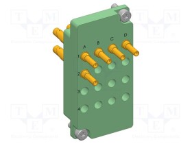 IGN-38121