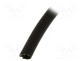 LP-61806510
