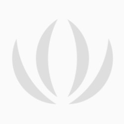 Ameba Z2 AWS IoT ExpressLink Devkit - AWS IoT ExpressLink, Wi-Fi &amp; Bluetooth, multiple IO resources, OTA upgrade