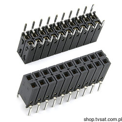 289-20-2-4-00 Socket 2 x 10 Pin THT W&amp;P
