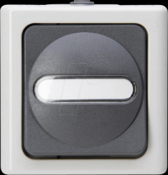 561456001 BLUE ELECTRIC - Taster (Wechsler), grau