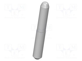 IGN-38874