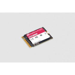 Raspberry Pi SC1439 256GB SSD