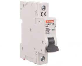 Ogranicznik mocy 1P 40A 10kA P1MB1PT40