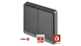 Gosmart Przenośny Kontroler Scenerii Ip-2002Zb, Zigbee 3.0, Dwuprzyciskowy H5015