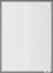 501557 Infoframe, A4, static cling, anthracite, 1 piece