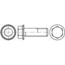 Śruby blokujące TOOLCRAFT 161425 M6 20 mm 500 szt.