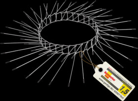 60067INT Cat defense belt