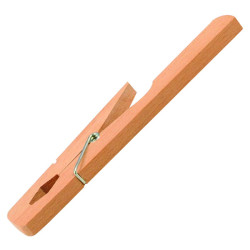 Eisco Wooden Test Tubes Holders with Spring (Pack of 10)