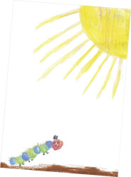 Daiber Fotopapier multikolor